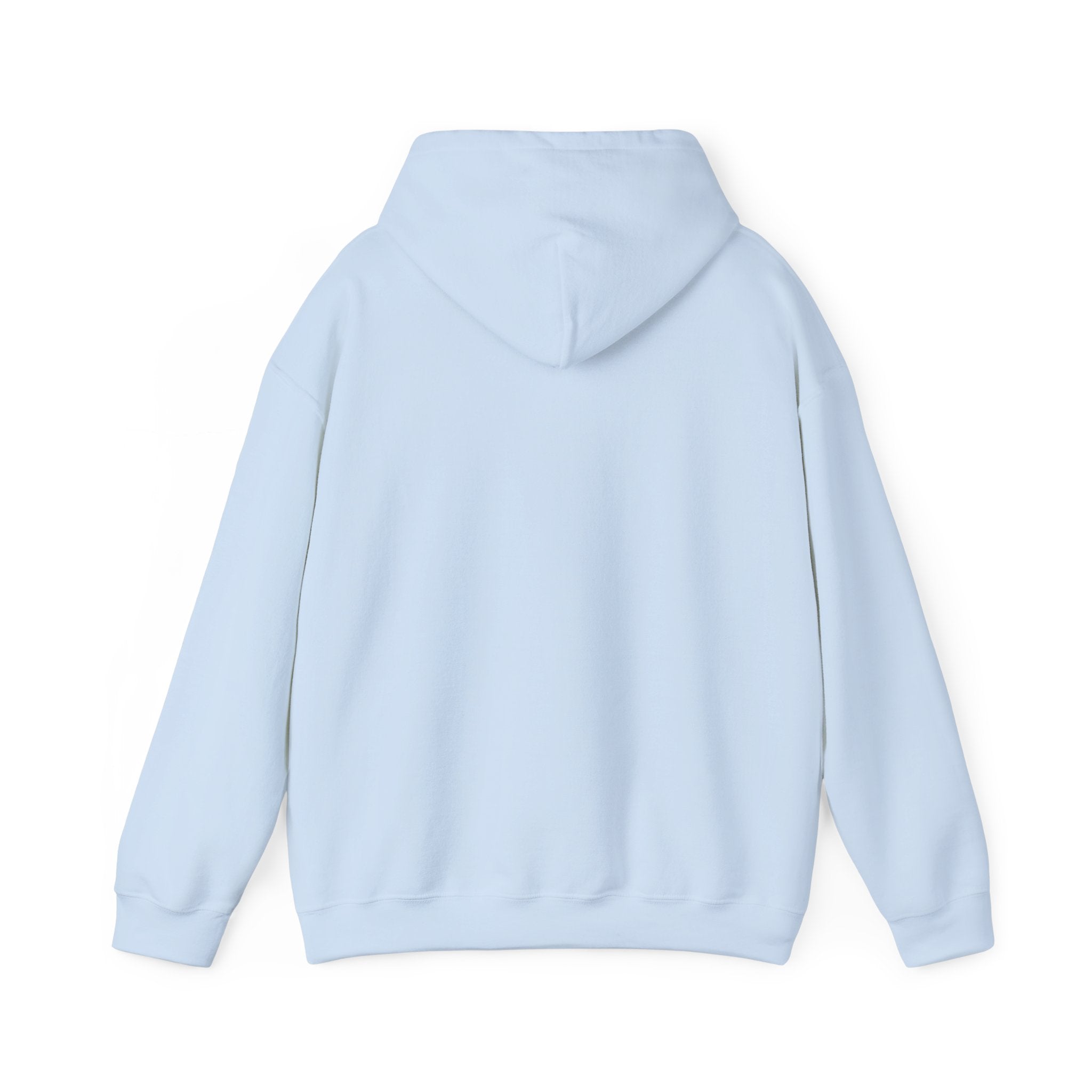 Expensive and Difficult | Hoodie