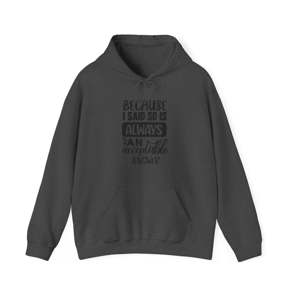 "Because I Said So" Is Always an Acceptable Answer | Hoodie