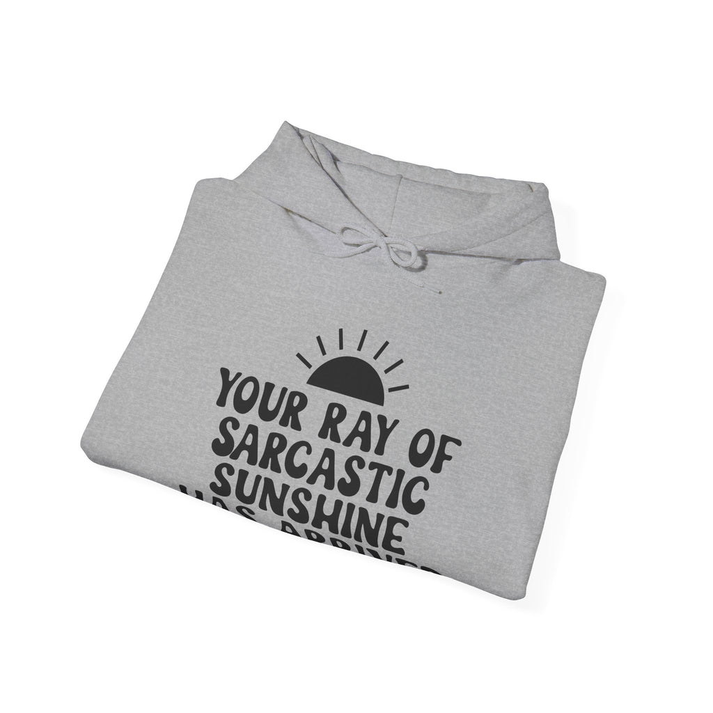 Your Ray of Sarcastic Sunshine Has Arrived | Hoodie