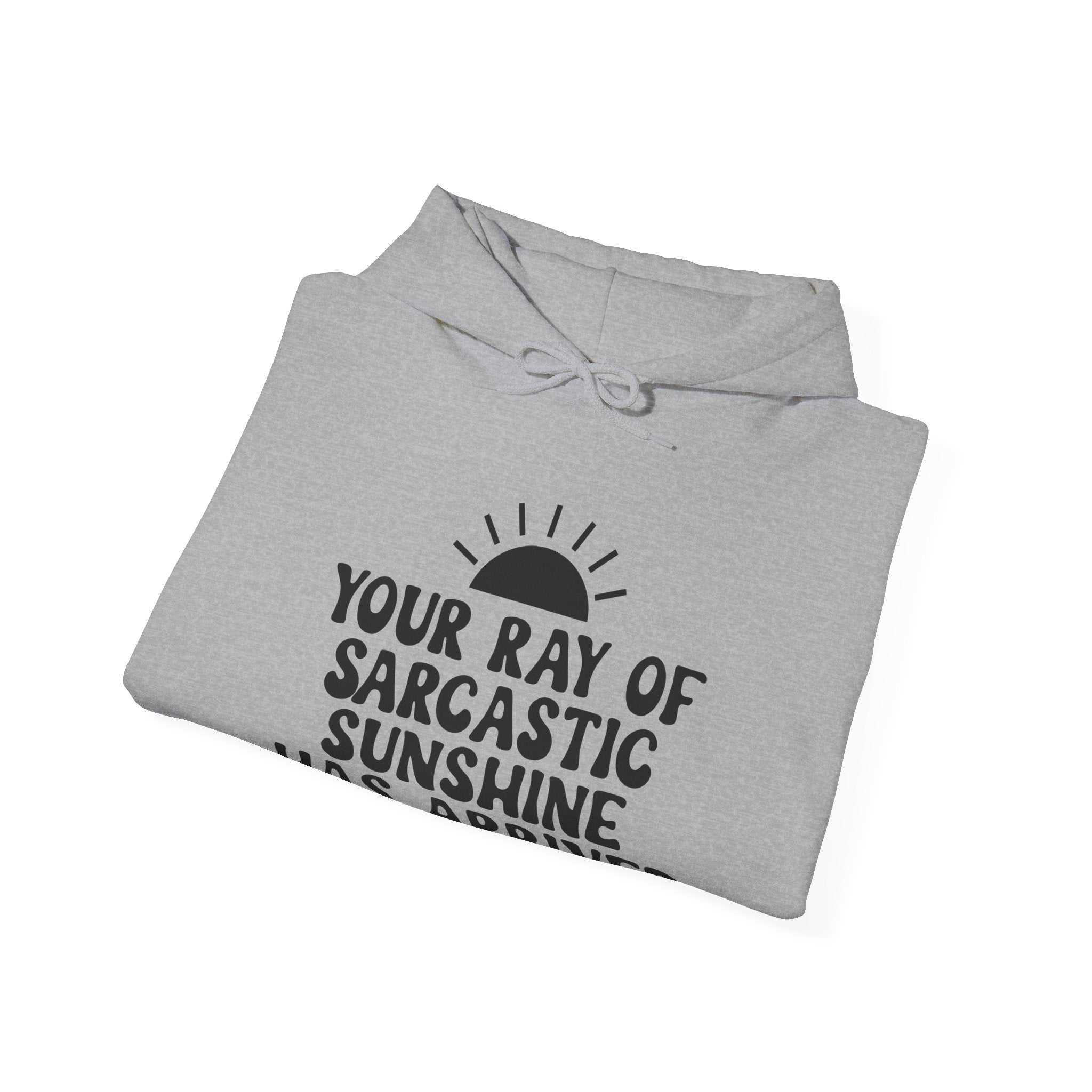 Your Ray of Sarcastic Sunshine Has Arrived | Hoodie