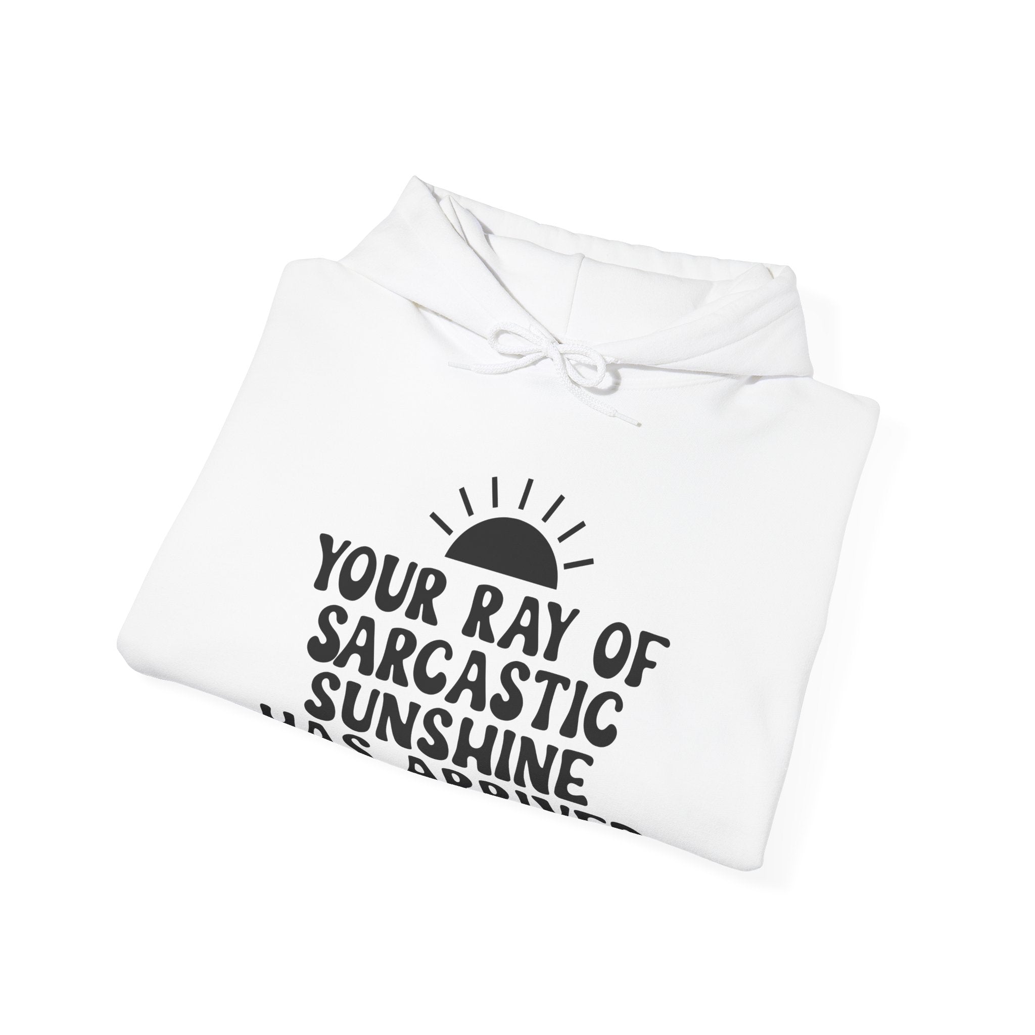 Your Ray of Sarcastic Sunshine Has Arrived | Hoodie