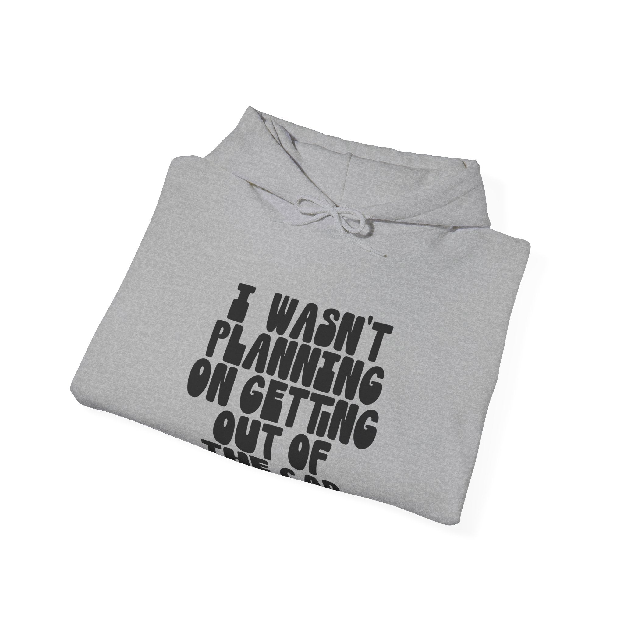 I Wasn't Planning on Getting Out of the Car | Hoodie