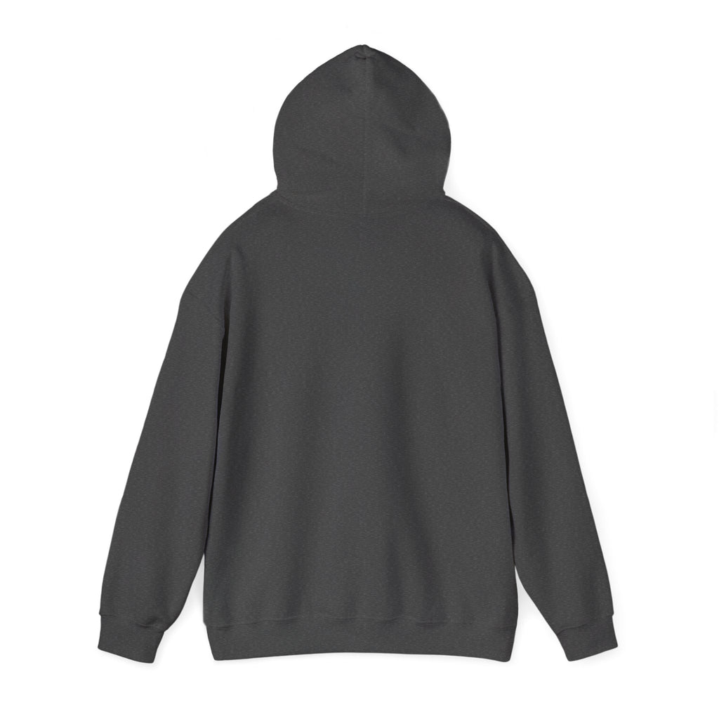 The Lord Is Light and Salvation Psalm 27:1 | Hoodie