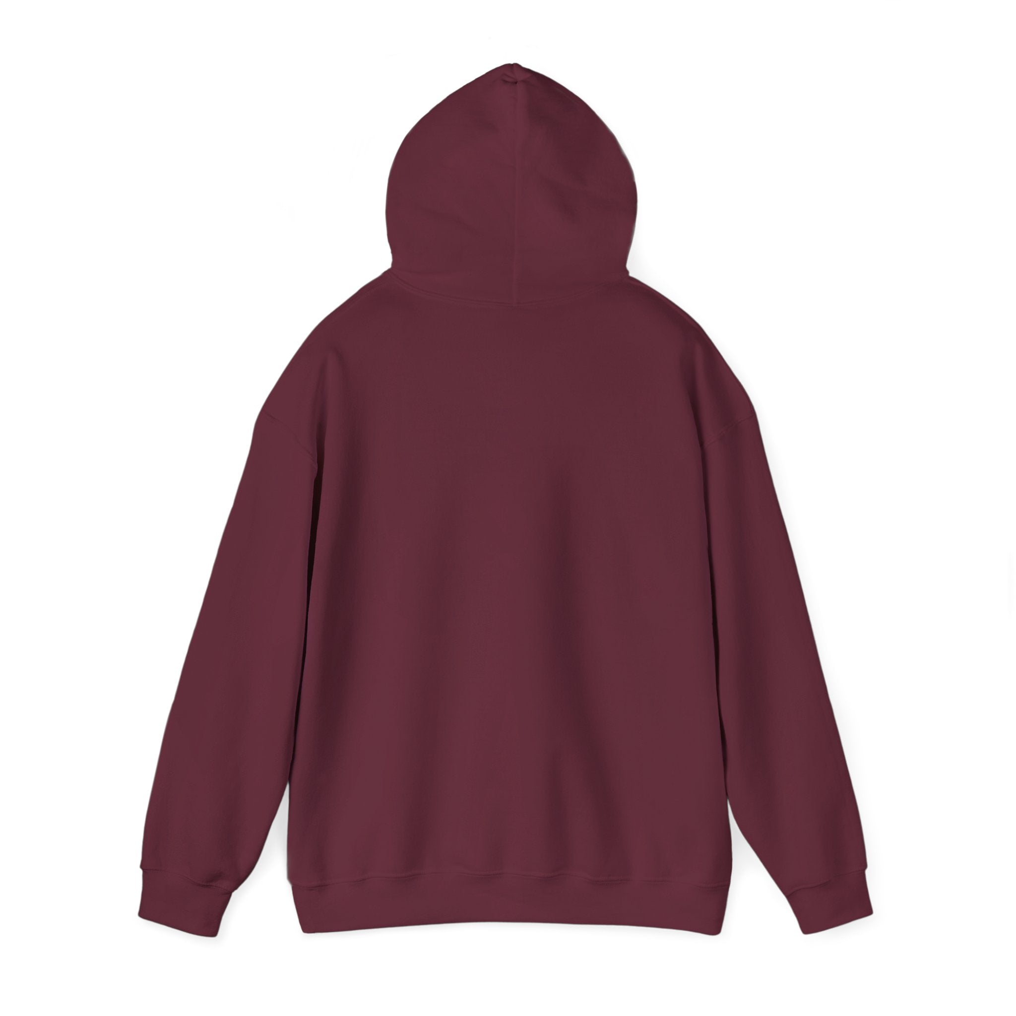 The Sun Always Shines After the Storm | Hoodie