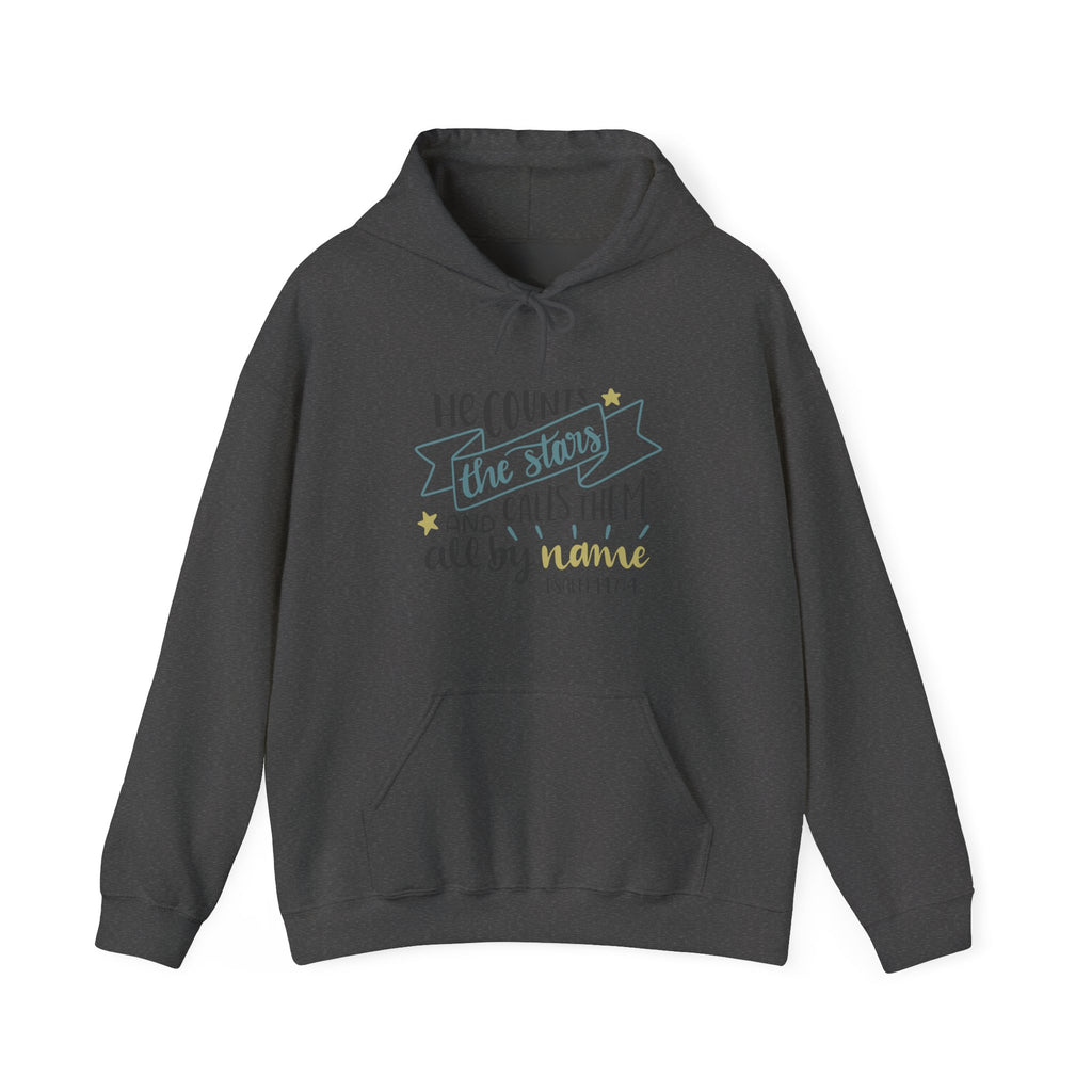 He Counts the Stars and Calls Them All by Name Psalm 147:4 | Hoodie
