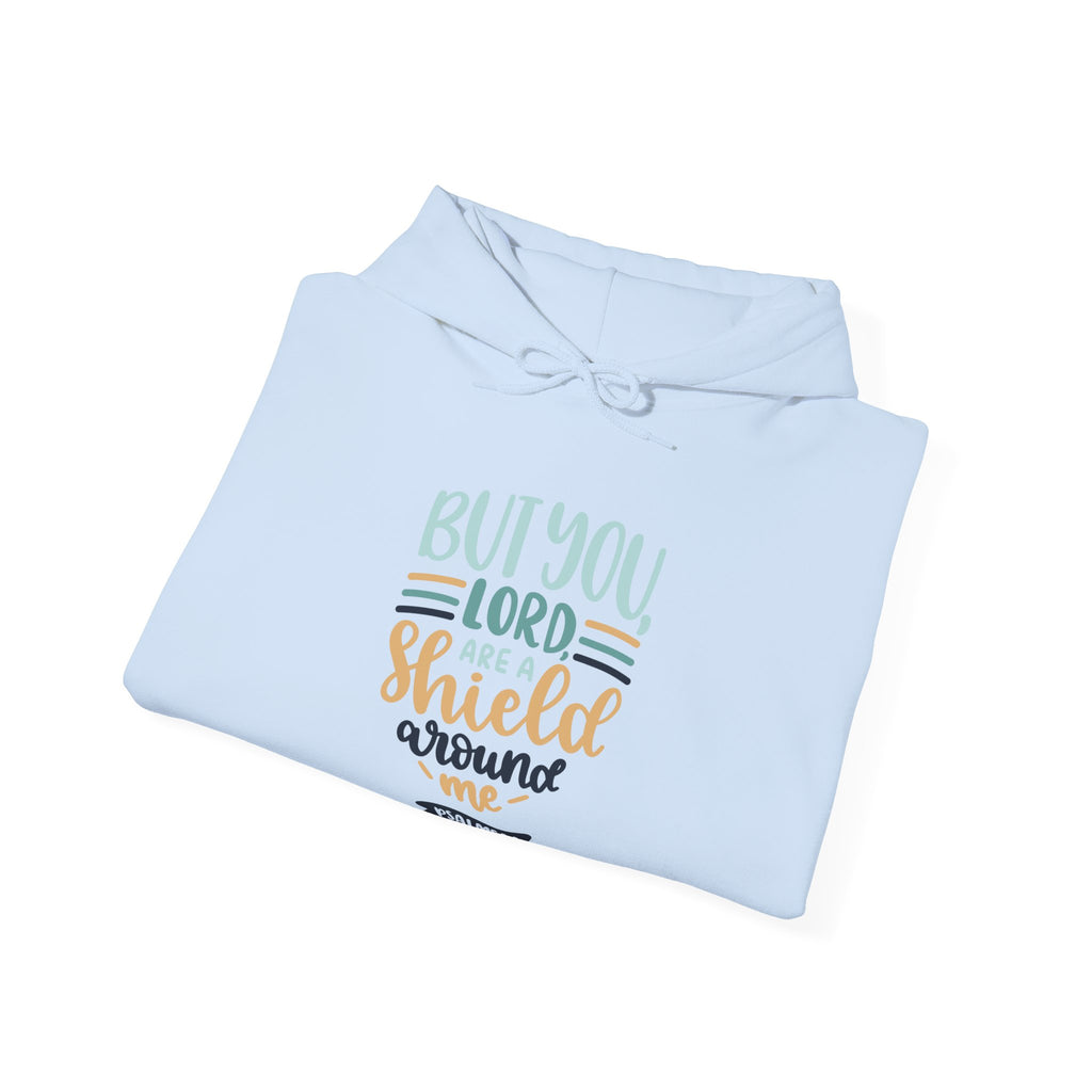 But You, Lord, Are a Shield Around Me Psalms 3:3 | Hoodie