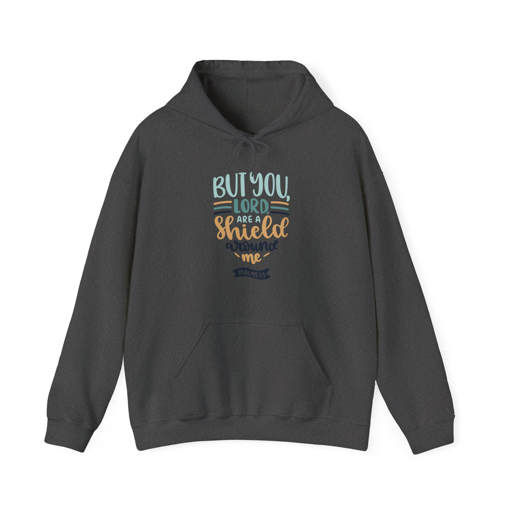 But You, Lord, Are a Shield Around Me Psalms 3:3 | Hoodie