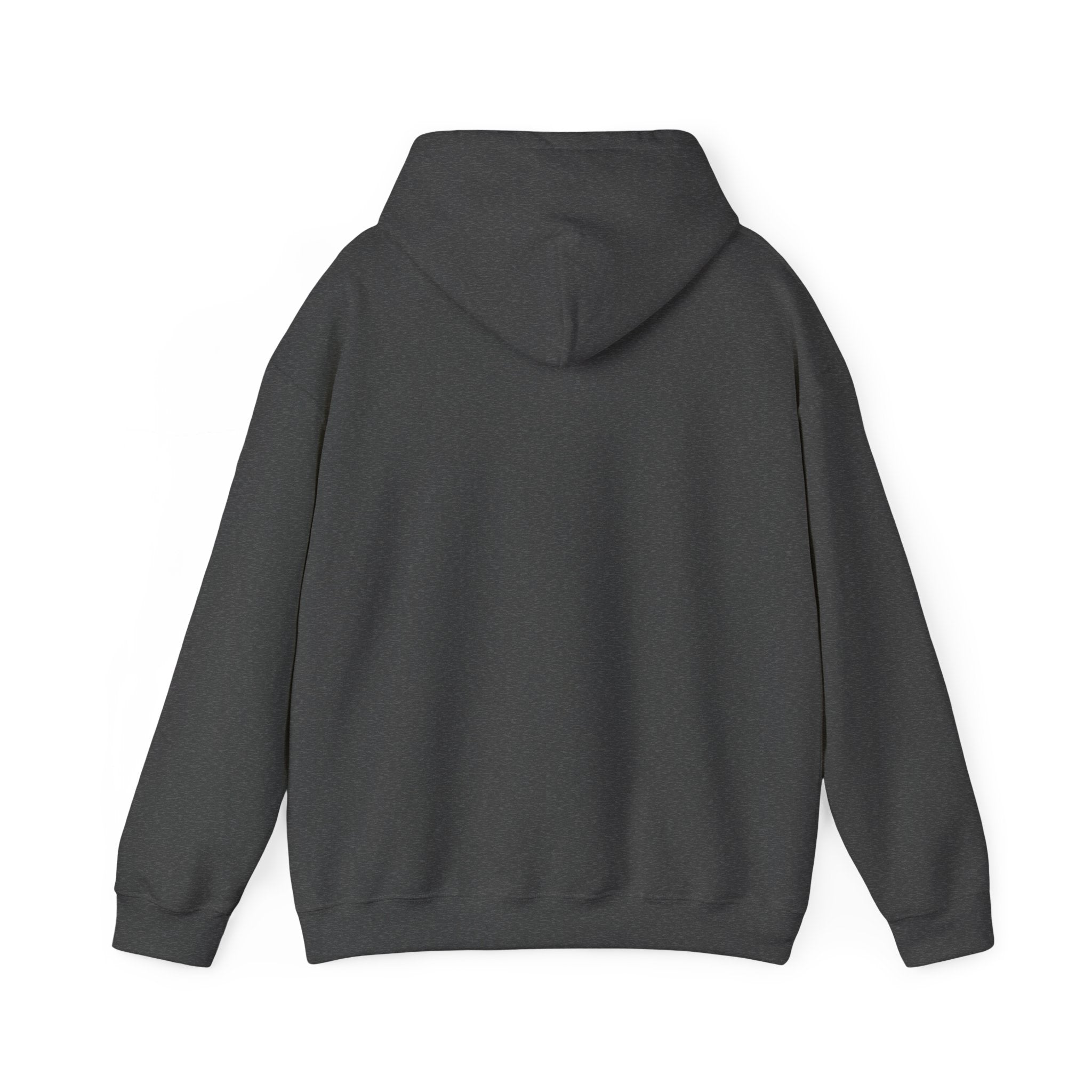 Don't Mess With Mommy, You'll Get Jurasskicked | Hoodie