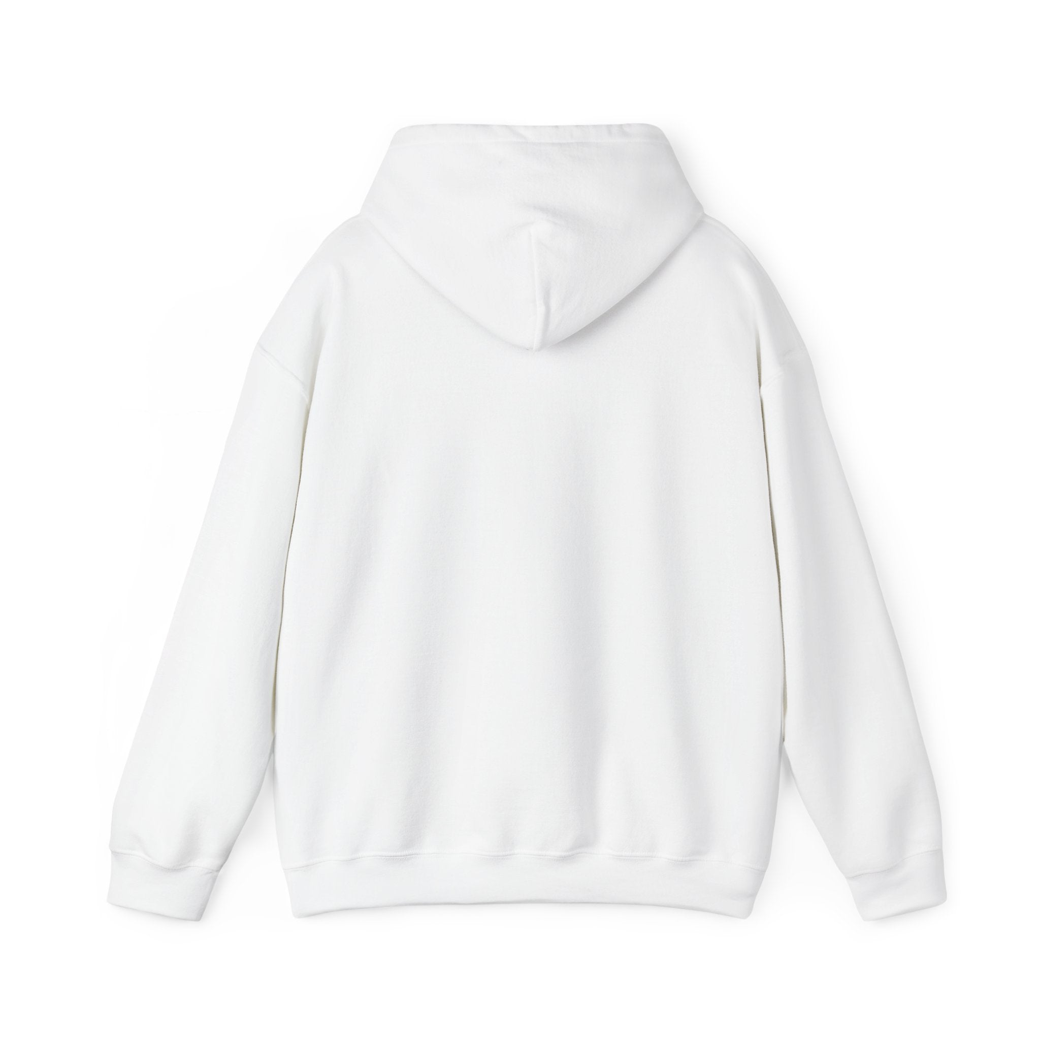 The Sun Always Shines After the Storm | Hoodie
