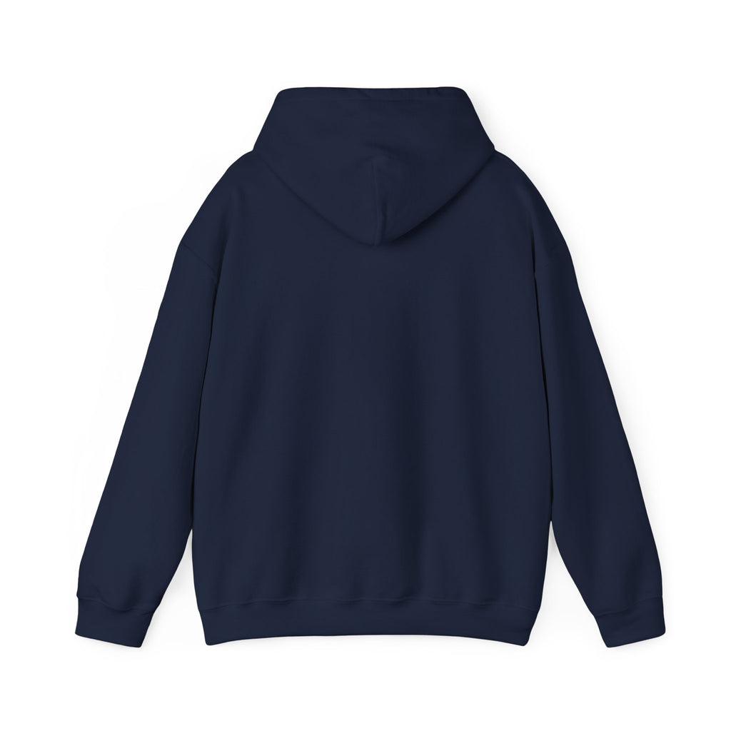 The Sun Always Shines After the Storm | Hoodie