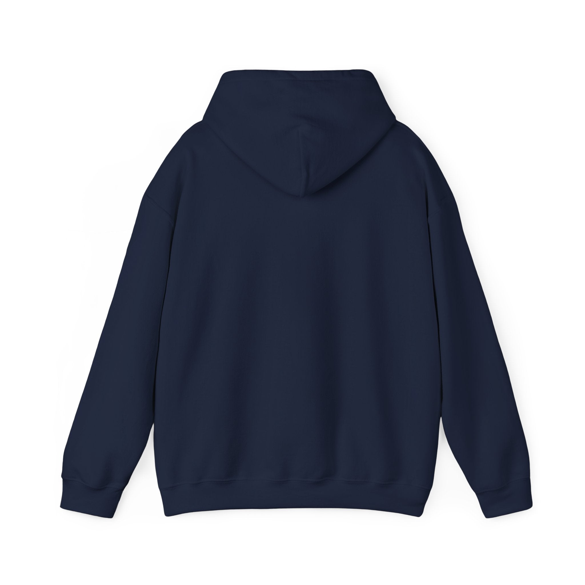 The Sun Always Shines After the Storm | Hoodie
