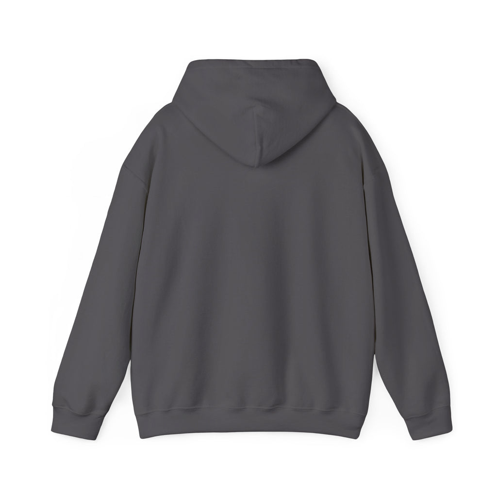 I Can Go From Zero to Online Detective in 3.5 Seconds | Hoodie