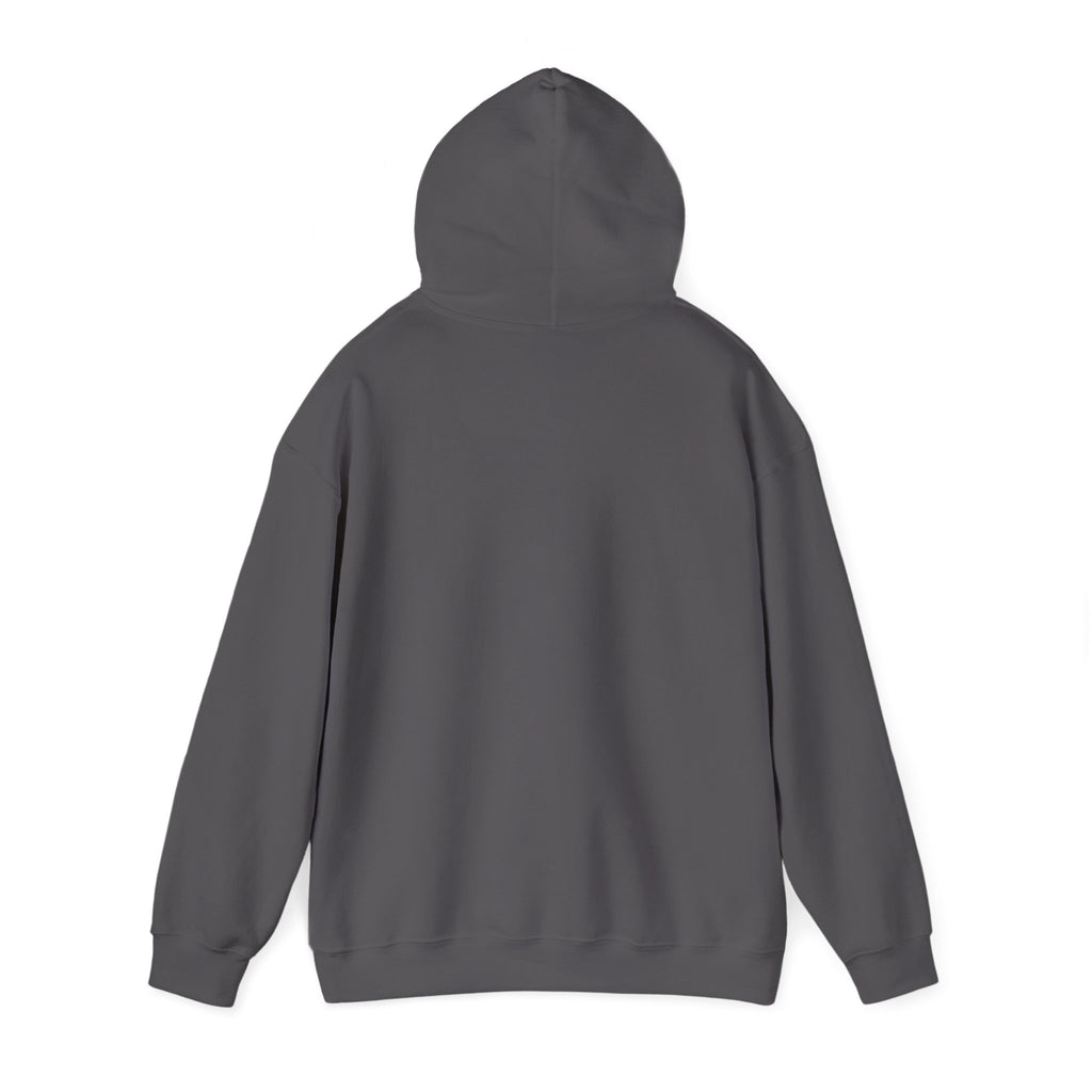 I Match Energy | Hoodie