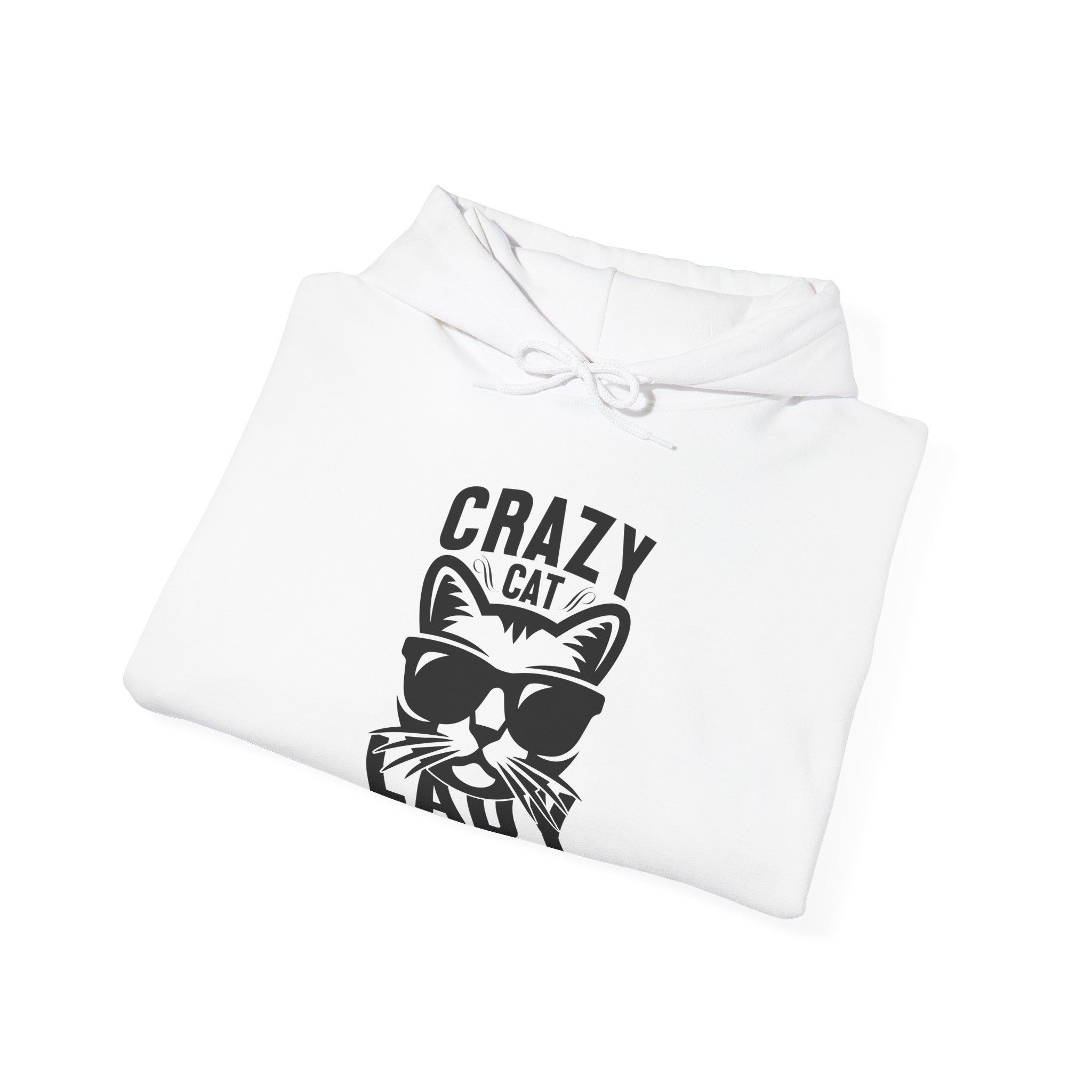 Crazy Car Lady in Training | Hoodie
