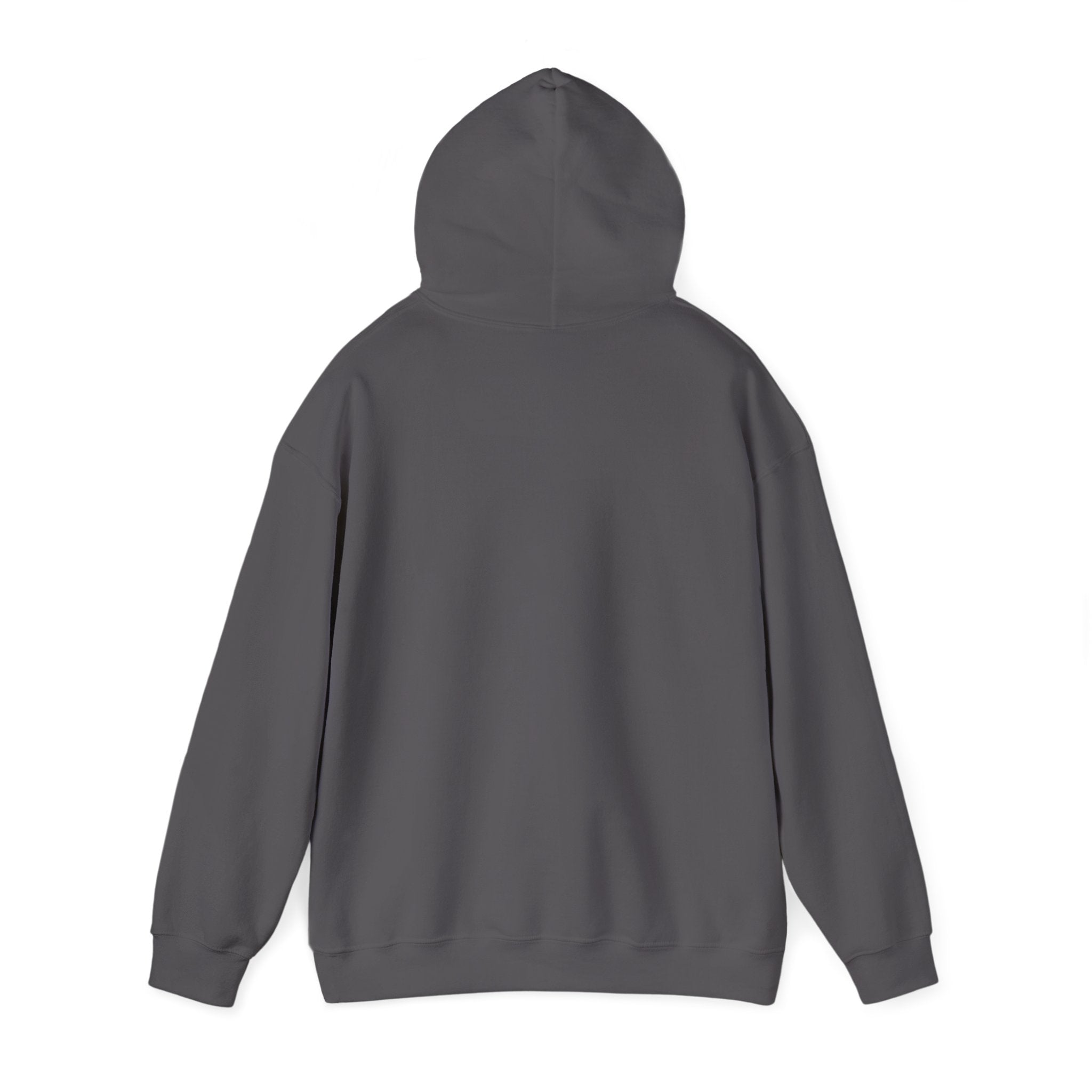 Expensive and Difficult | Hoodie