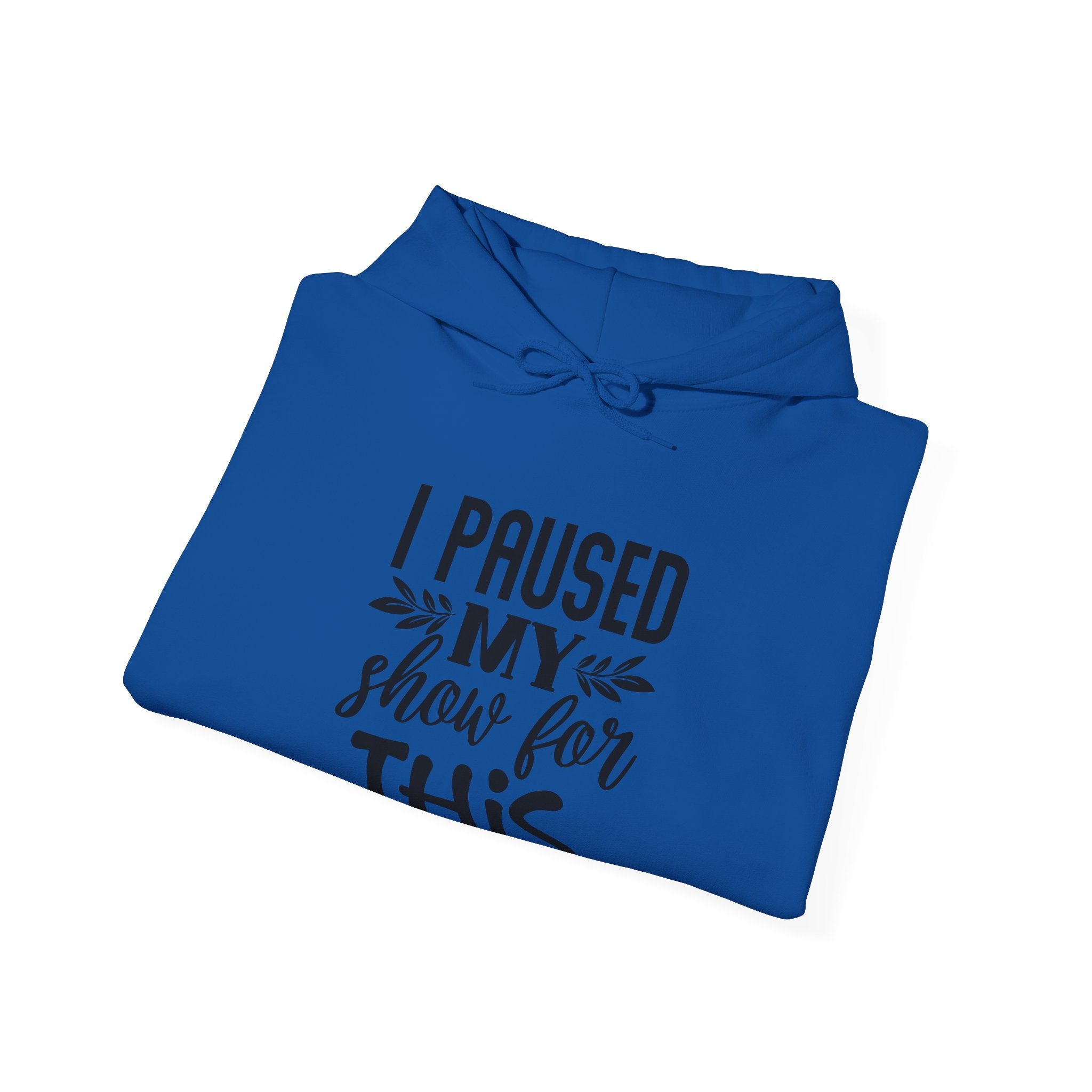 I Paused My Show for This | Hoodie