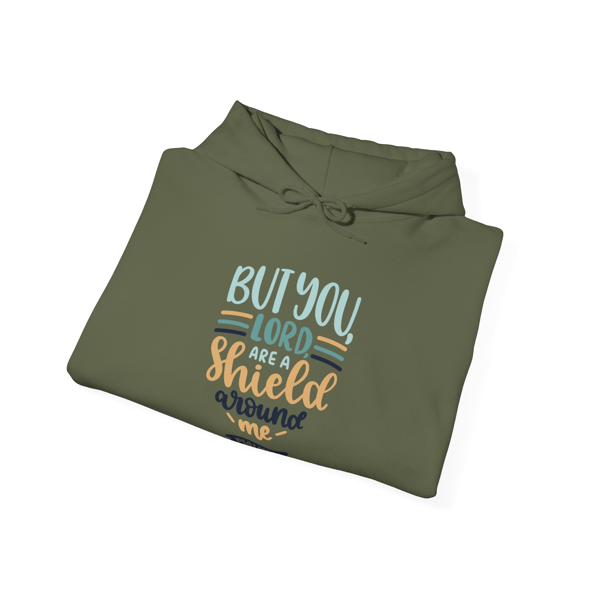 But You, Lord, Are a Shield Around Me Psalms 3:3 | Hoodie